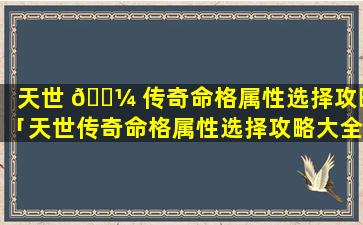 天世 🐼 传奇命格属性选择攻略「天世传奇命格属性选择攻略大全」